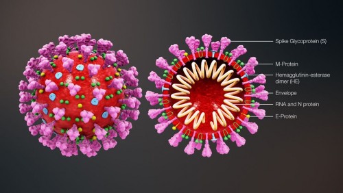 Khuyến cáo của Bộ Y tế để phòng tránh virus corona