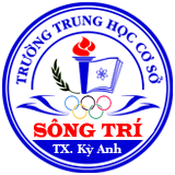 logo song tri